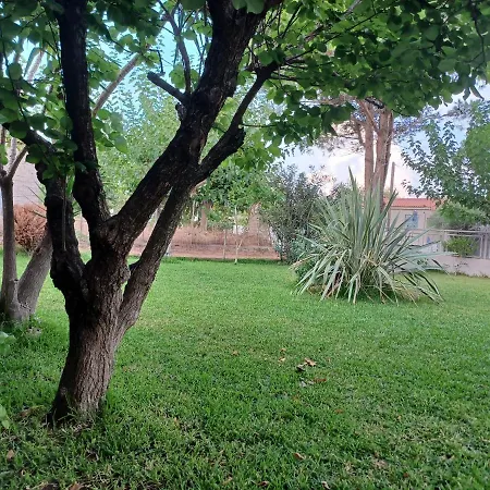 House For Up To 9 People Near Olympia Katakolo