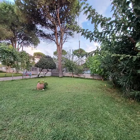 House For Up To 9 People Near Olympia