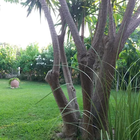 House For Up To 9 People Near Olympia *