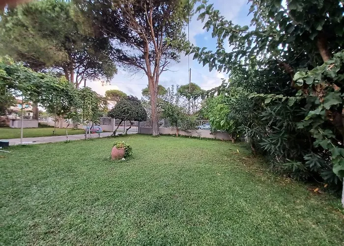 House For Up To 9 People Near Olympia