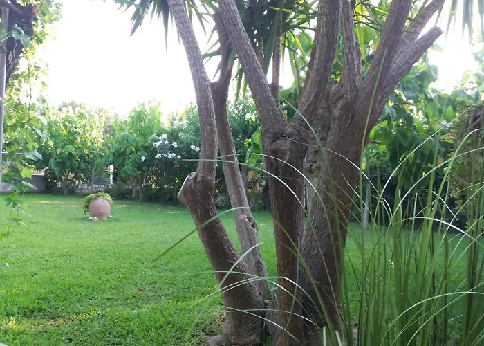 House For Up To 9 People Near Olympia *