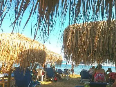 House For Up To 9 People Near Olympia